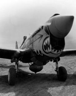 11th Fighter Interceptor Squadron-USAF-FS P-40.jpg