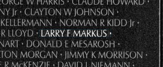 MARKUS-Larry Frank-Vietnam-Army-Vietnam memorial.jpg
